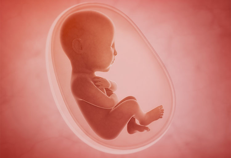 威而鋼對胎兒是否有影響